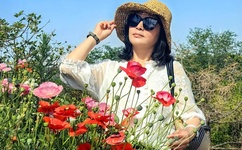 日本一本道a不卡免费